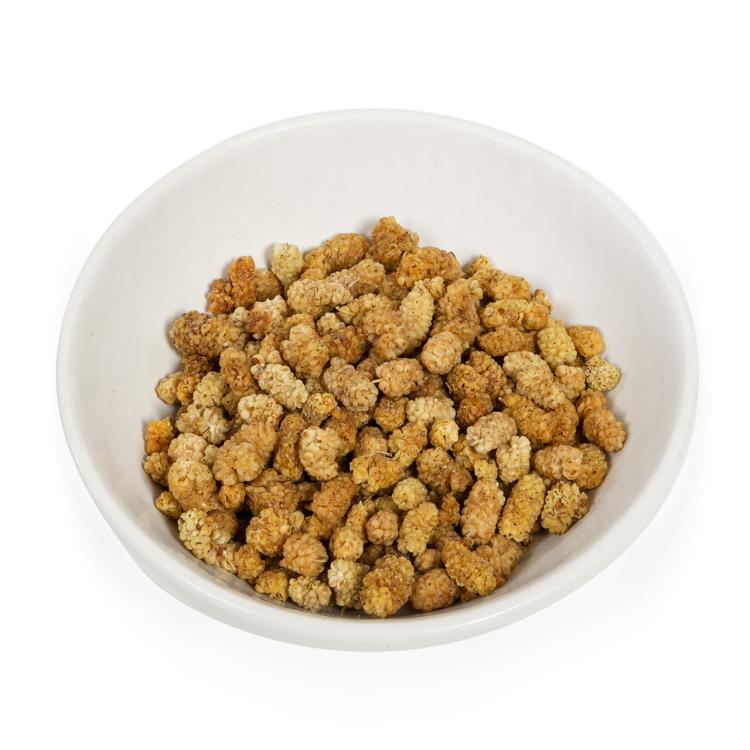 Wagner's - Sušené moruše pro všechny papoušky 100 g od ParrotPlanet.cz