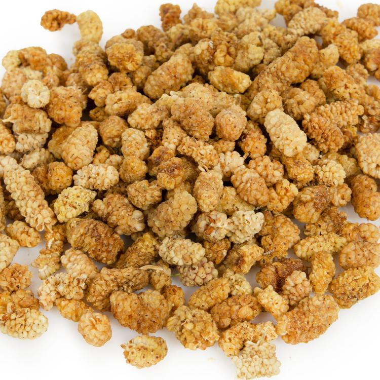 Wagner's - Sušené moruše pro všechny papoušky 100 g od ParrotPlanet.cz