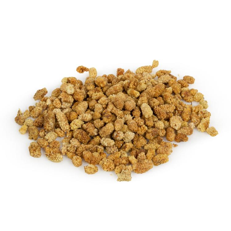 Wagner's - Sušené moruše pro všechny papoušky 100 g od ParrotPlanet.cz