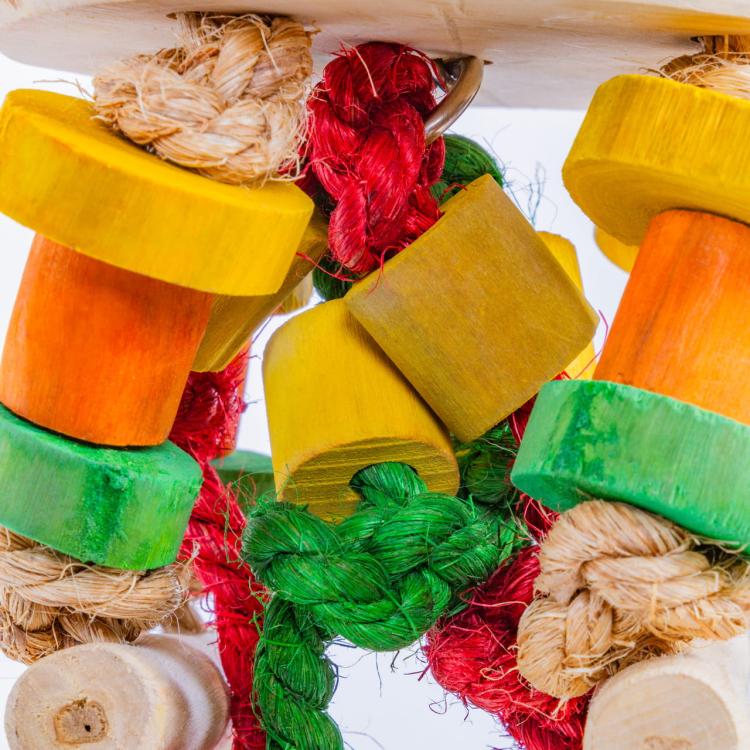 Java Tower |  hračka pro malé a střední papoušky od ParrotPlanet.cz