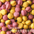Your Parrot - Vital Pellets Fruit &amp; Vegetable Blend -  granule pro střední a velké papoušky 3 kg od ParrotPlanet.cz