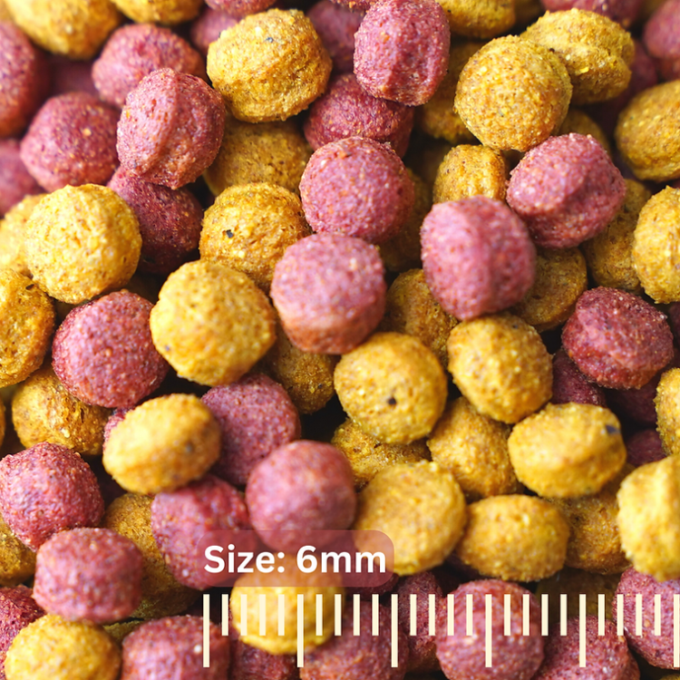 Your Parrot - Vital Pellets Fruit &amp; Vegetable Blend -  granule pro střední a velké papoušky 3 kg od ParrotPlanet.cz
