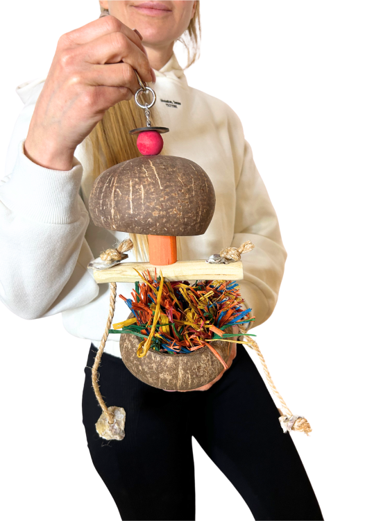 Dvojité kokosy  - Hračka pro střední a velké papoušky od ParrotPlanet.cz