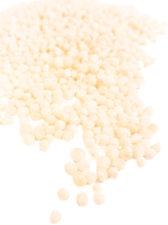 PARROT CAFFEE - Rice -  pro všechny papoušky 100 g od ParrotPlanet.cz