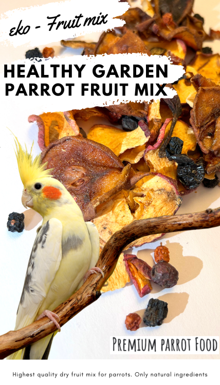 Premium Parrot Food - Healthy Garden Fruit Mix  - pro všechny papoušky 100 g od ParrotPlanet.cz