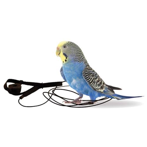 Postroje pro papoušky Aviator XXXS Modré od ParrotPlanet.cz