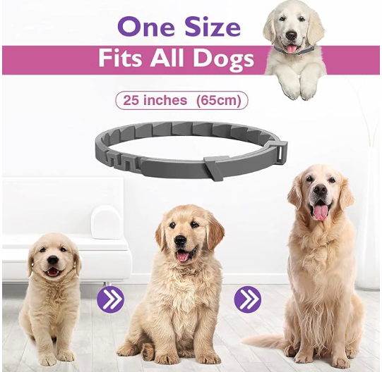 Přírodní, uklidňující obojek | pro psy | s levandulí a heřmánkem | od 10 do 65 cm od ParrotPlanet.cz