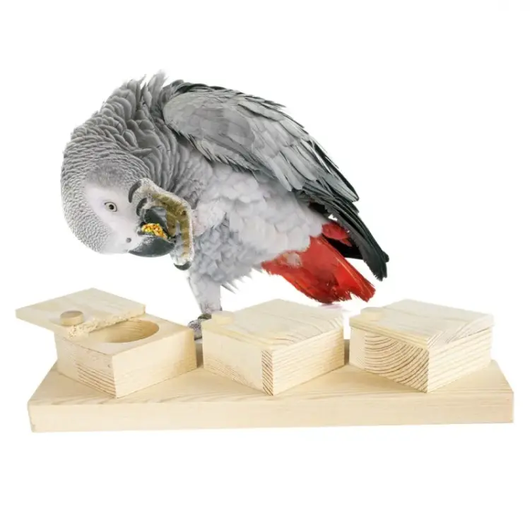 Trénink  - hračka pro všechny papoušky  od ParrotPlanet.cz