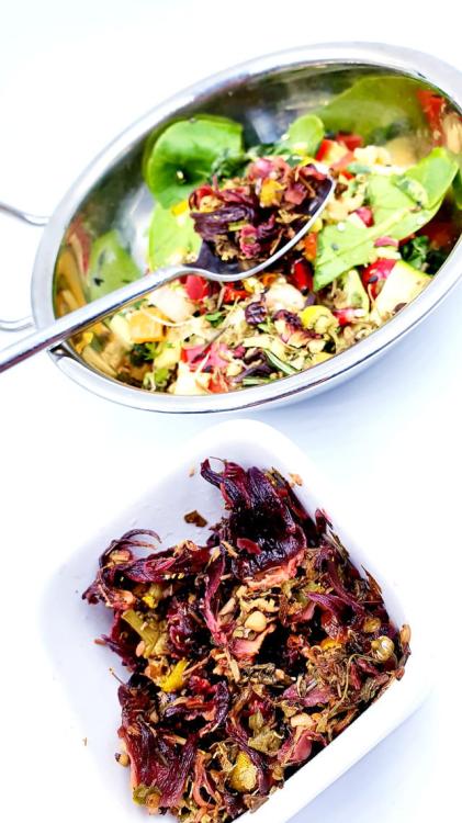 Polly's Nature Boost – Organický čaj pro papoušky 50 g od ParrotPlanet.cz