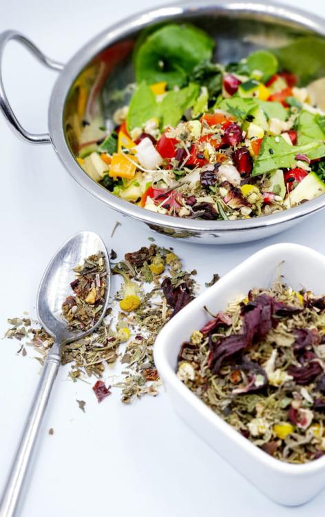 Polly's Nature Boost – Organický čaj pro papoušky 50 g od ParrotPlanet.cz