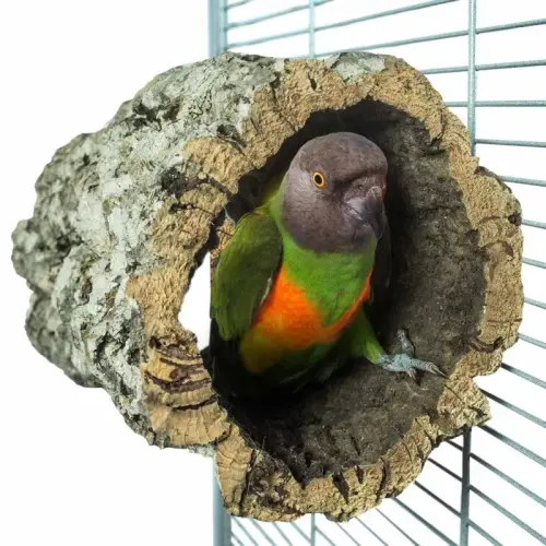Přírodní bidélko nebo jeskyně z korkové kůry dubu, velikost M – pro střední papoušky od ParrotPlanet.cz