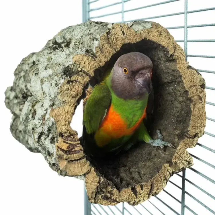 Přírodní bidélko nebo jeskyně z korkové kůry dubu, velikost M – pro střední papoušky od ParrotPlanet.cz