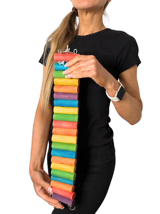 Barevný most 50 cm  – hračka pro malé a střední papoušky od ParrotPlanet.cz