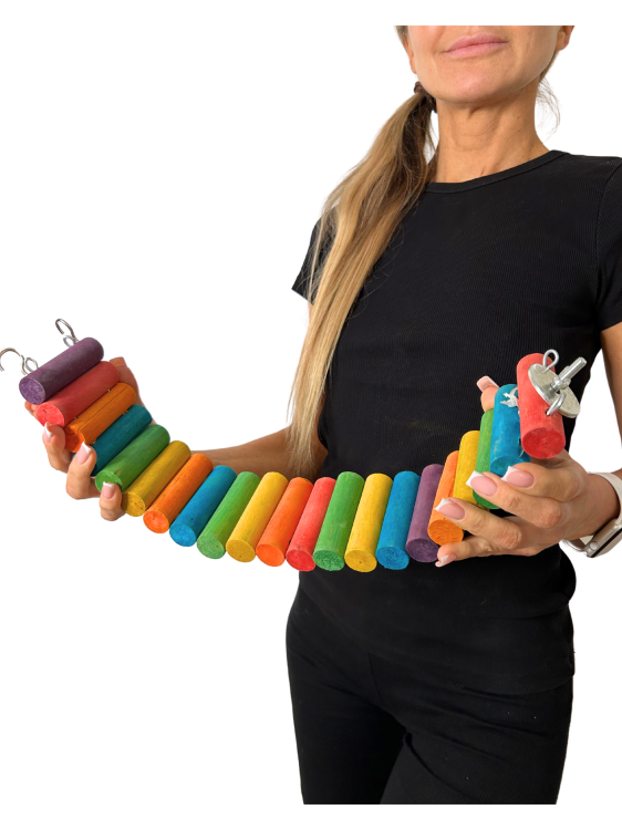 Barevný most 50 cm  – hračka pro malé a střední papoušky od ParrotPlanet.cz