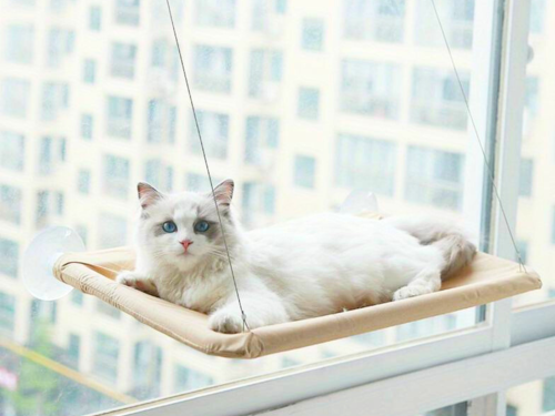 Závěsné lůžko, připevněné pro kočku Béžové od ParrotPlanet.cz