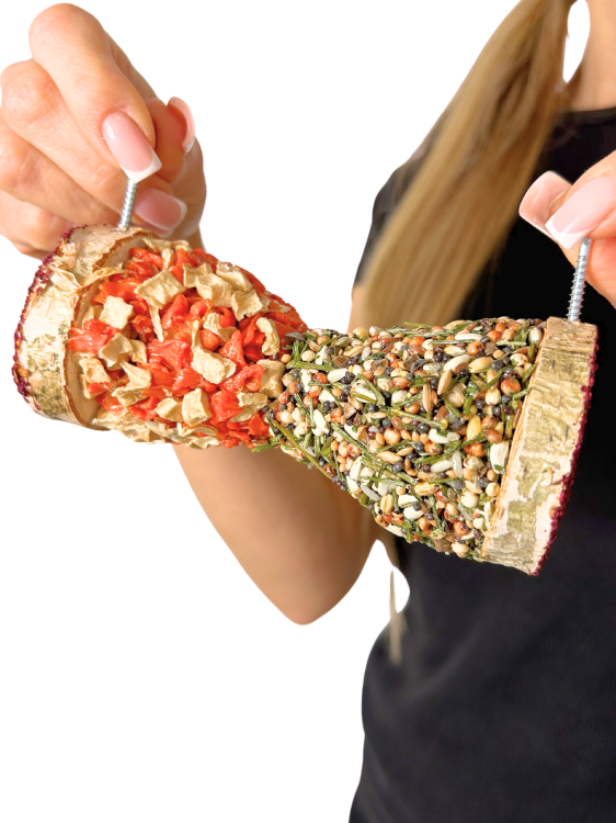 Zeleninová písková hodiny s obilím pro všechny papoušky od ParrotPlanet.cz