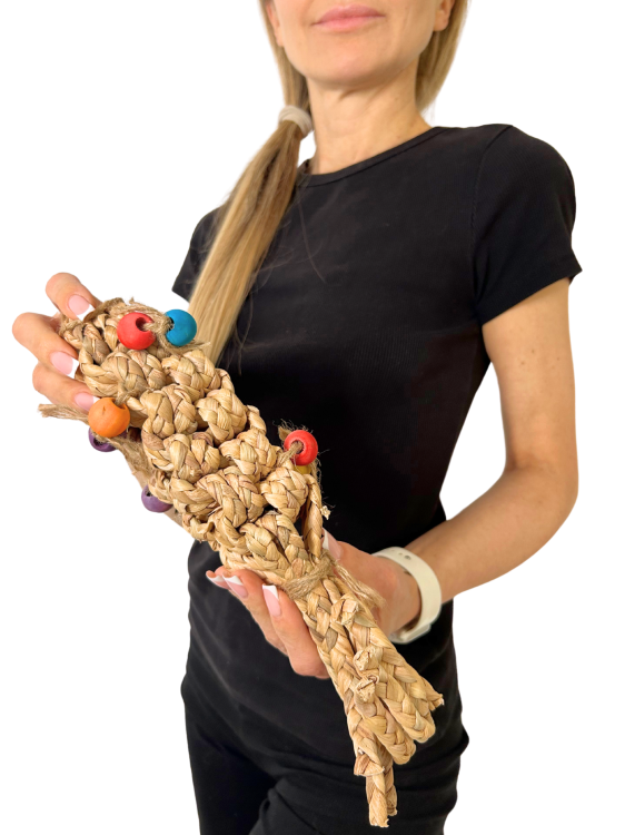 Premium Parrot Food – ekologické loupané slunečnice – pro všechny papoušky 100 g od ParrotPlanet.cz