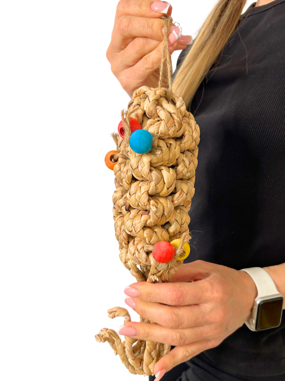 Premium Parrot Food – ekologické loupané slunečnice – pro všechny papoušky 100 g od ParrotPlanet.cz