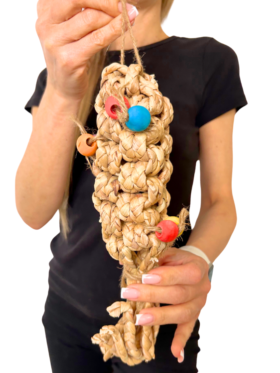 Premium Parrot Food – ekologické loupané slunečnice – pro všechny papoušky 100 g od ParrotPlanet.cz