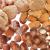 Your Parrot Wild Nuts in Shells Parrot Treat – ořechová směs pro střední a velké papoušky 1 kg od ParrotPlanet.cz