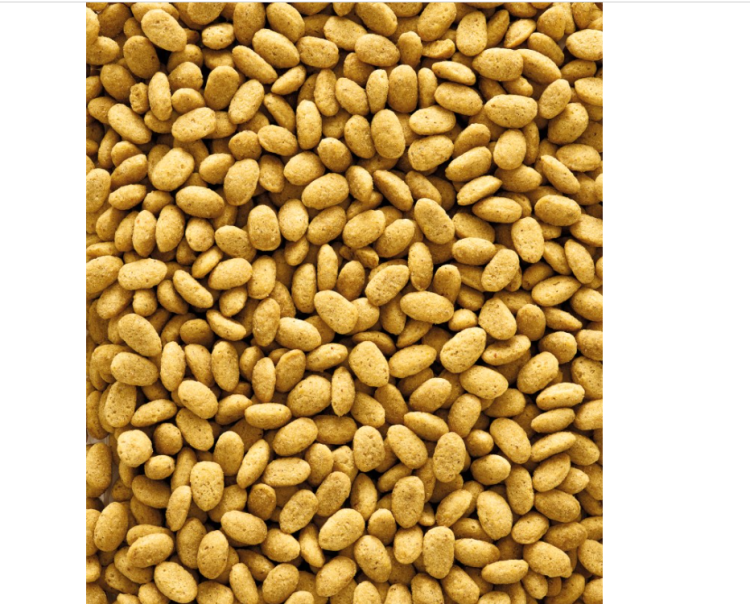 Versele Laga P19 Original 10 kg – granule pro období hnízdění pro velké papoušky od ParrotPlanet.cz
