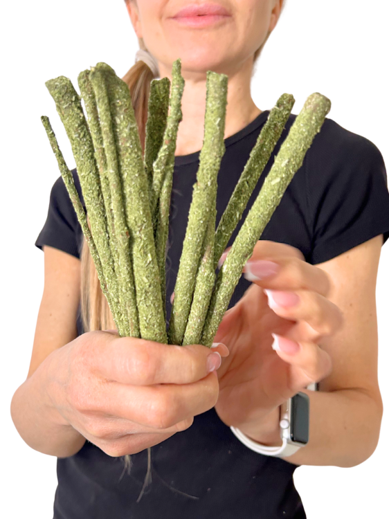 Tyčinky s petrželkou – zdravá pochoutka pro všechny papoušky od ParrotPlanet.cz