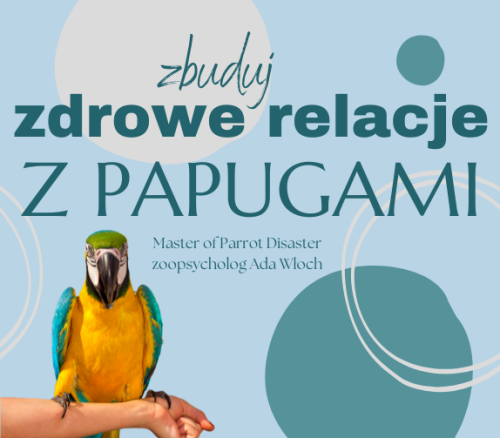 Průvodce ParrotPlanet – VYTVOŘTE SI ZDRAVÝ VZTAH S PAPOUŠKY  – Průvodce pro začínající chovatele papoušků  od ParrotPlanet.cz