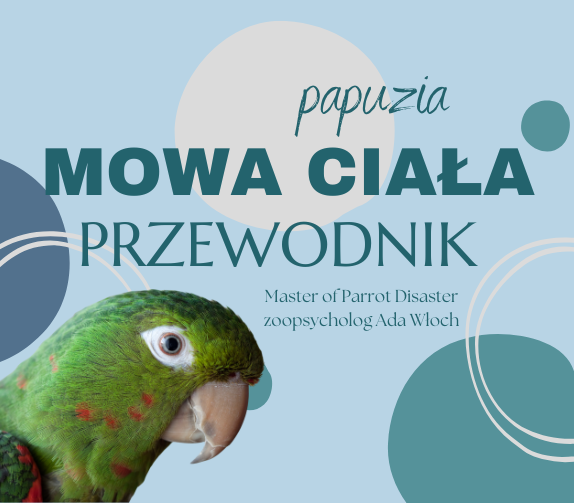 Průvodce ParrotPlanet – Papouščí řeč těla – Průvodce pro začínající chovatele papoušků od ParrotPlanet.cz