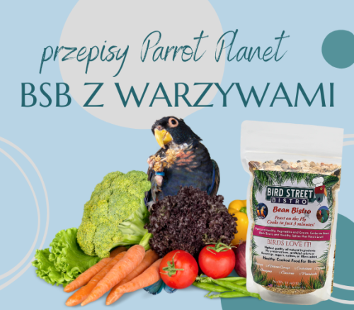 Papuščí Kuchyně ParrotPlanet – Bird Street Bistro se zeleninou – Autorský recept Adzioszky z Parrot Disaster od ParrotPlanet.cz