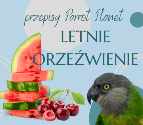 Papuščí Kuchyně ParrotPlanet – Letní osvěžení – Autorský recept Adzioszky z Parrot Disaster od ParrotPlanet.cz
