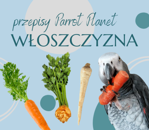 Papuščí Kuchyně ParrotPlanet – 4 barvy v papouščí dietě – Autorský recept Adzioszky z Parrot Disaster od ParrotPlanet.cz