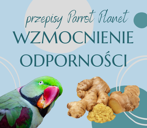 Papuščí Kuchyně ParrotPlanet – Posílení imunity – Autorský recept Adzioszky z Parrot Disaster od ParrotPlanet.cz