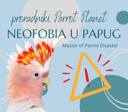 Průvodce ParrotPlanet – NEOFOBIE A NEOFILIE – Průvodce pro začínající chovatele papoušků od ParrotPlanet.cz