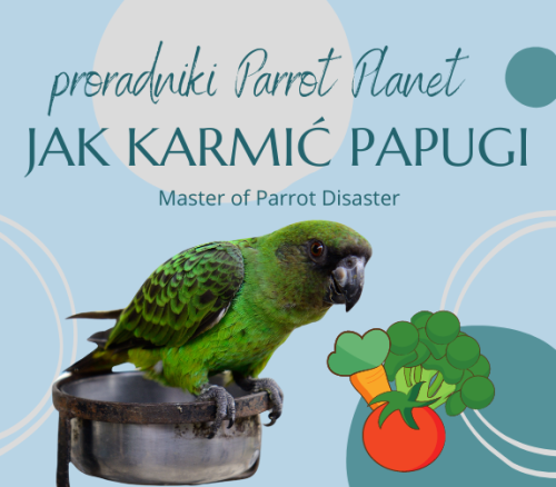 Průvodce ParrotPlanet – JAK KRMIT PAPOUŠKY  – Průvodce pro začínající chovatele papoušků od ParrotPlanet.cz