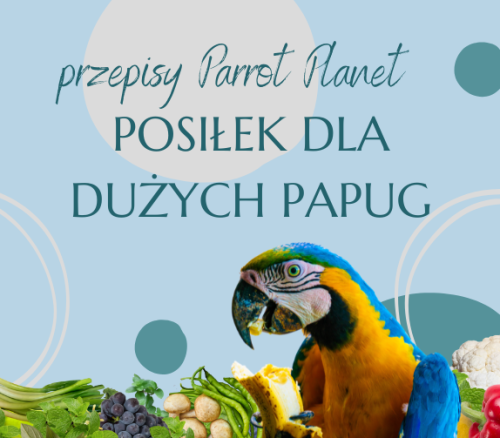 Papouščí Kuchyně ParrotPlanet – NĚCO DOBRÉHO – autorský recept Adzioszky z Parrot Disaster od ParrotPlanet.cz