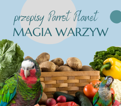 Papouščí Kuchyně ParrotPlanet – MAGIE ZELENINY – autorský recept Adzioszky z Parrot Disaster od ParrotPlanet.cz