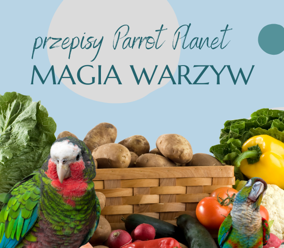 Papouščí Kuchyně ParrotPlanet – MAGIE ZELENINY – autorský recept Adzioszky z Parrot Disaster od ParrotPlanet.cz