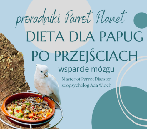 Průvodce ParrotPlanet - STRAVA PRO PAPOUŠKY PO TRAUMATICKÝCH ZÁŽITCÍCH  - Průvodce pro začínající chovatele papoušků od ParrotPlanet.cz