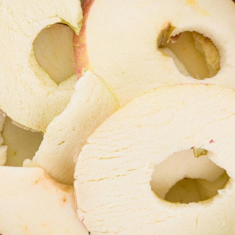 Powerki Vitapol – lyofilizované jablko – pro všechny papoušky, hlodavce, králíky a exotické ptáky 20 g od ParrotPlanet.cz