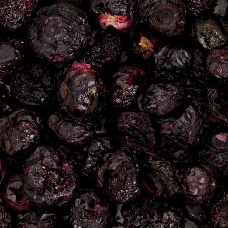 Powerki Vitapol – Borówka Liofilizowana 20 g – Naturalny Przysmak dla Papug | 100% Owoc od ParrotPlanet.pl