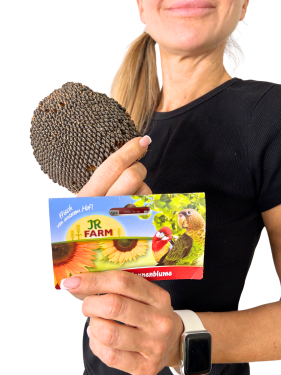 JR FARM slunečnice na provázku – zdravá pochoutka pro všechny papoušky 30 g od ParrotPlanet.cz