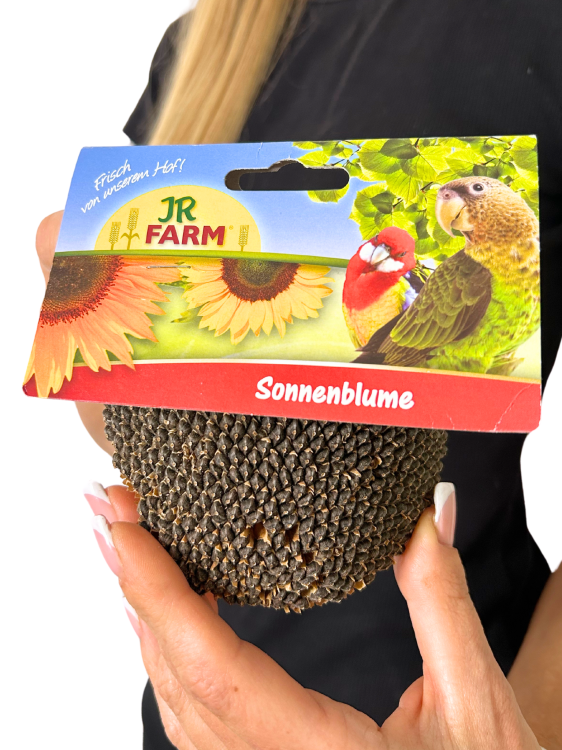 JR FARM slunečnice na provázku – zdravá pochoutka pro všechny papoušky 30 g od ParrotPlanet.cz