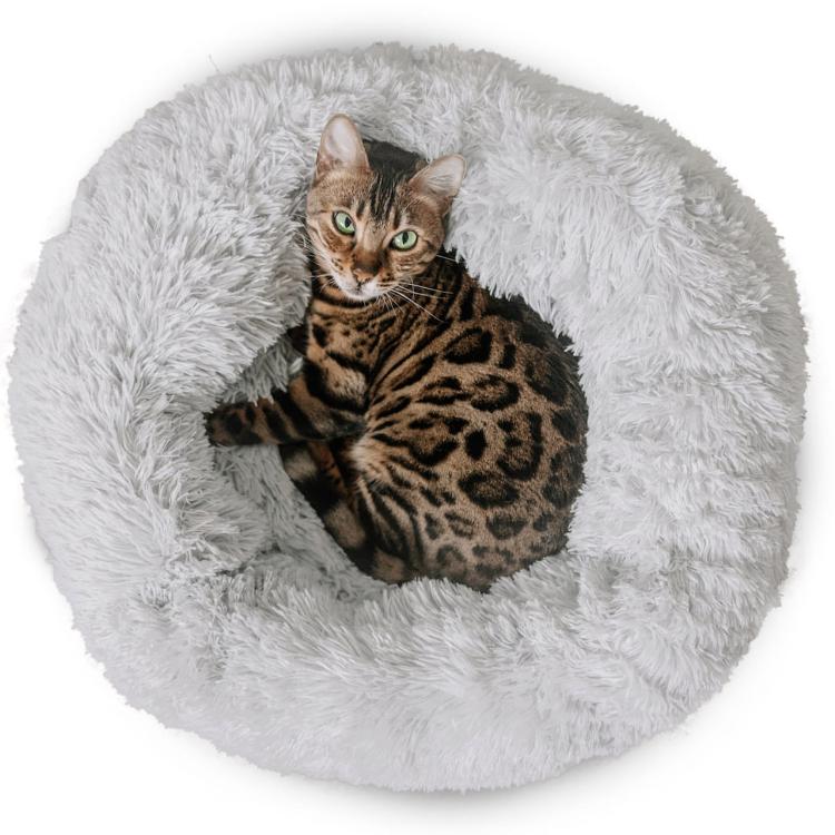 Sarnia - S- Plush Legowisko- postel pro kočky a psy od Canadian Cat - světle šedá od ParrotPlanet.cz