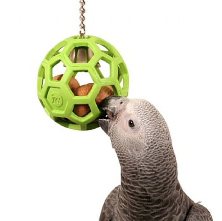 Ořechový trezor  - gumový míček se zvonkem - pro střední a velké papoušky od ParrotPlanet.cz