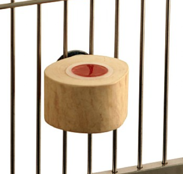 Držák JAVA na želé pro papoušky od ParrotPlanet.cz