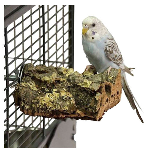 Přírodní tyč z kůry korkového dubu – velikost S pro malé a střední papoušky od ParrotPlanet.cz