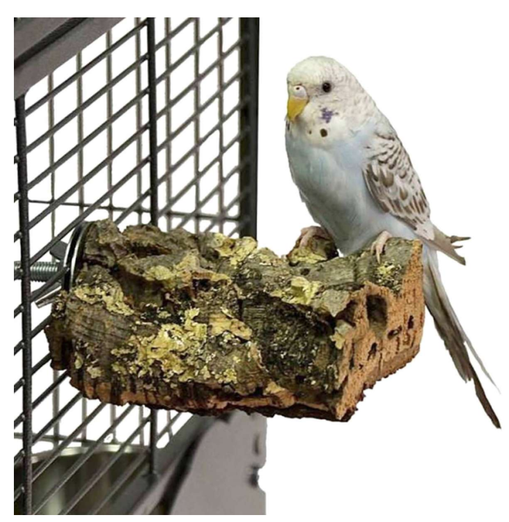 Přírodní tyč z kůry korkového dubu – velikost S pro malé a střední papoušky od ParrotPlanet.cz