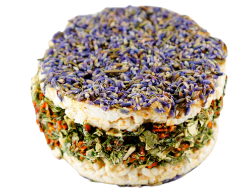 Rýžový sendvič s levandulí a zeleninou – pro všechny papoušky od ParrotPlanet.cz