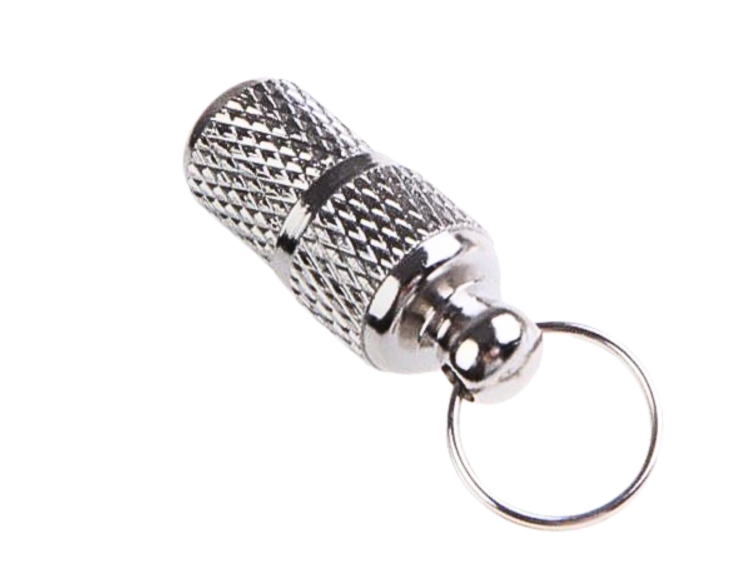 Adresní štítek, identifikátor pro psa – stříbrný – velký od ParrotPlanet.cz