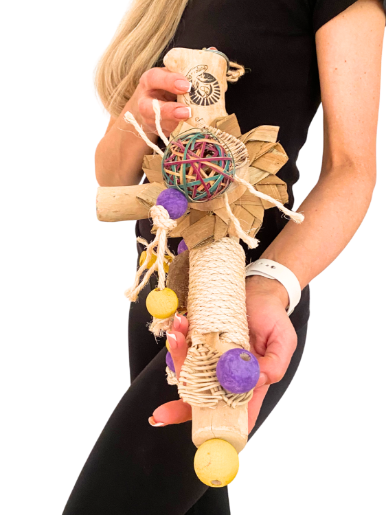 Explorer Tropics – přírodní bidélko pro papoušky a jiné ptáky od ParrotPlanet.cz